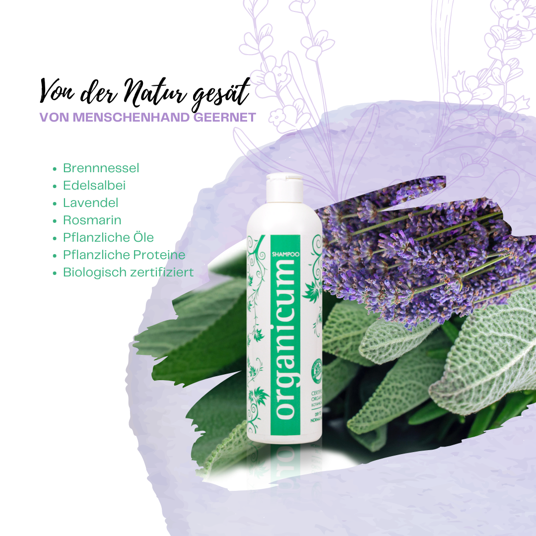 organicum Shampoo normales bis trockenes Haar Lorbeer Echter-Salbei Brennnessel 350ml