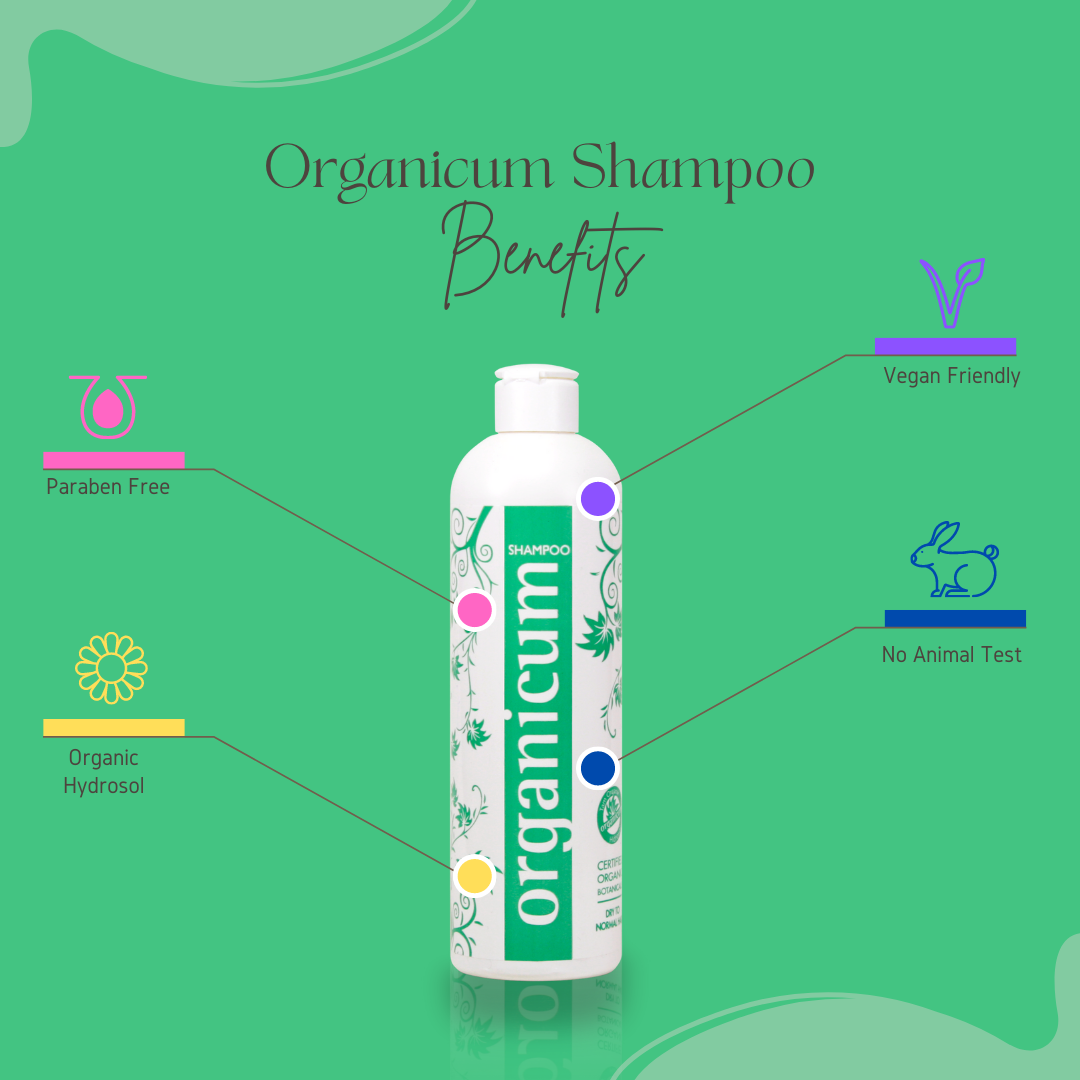 organicum Shampoo normales bis trockenes Haar Lorbeer Echter-Salbei Brennnessel 350ml