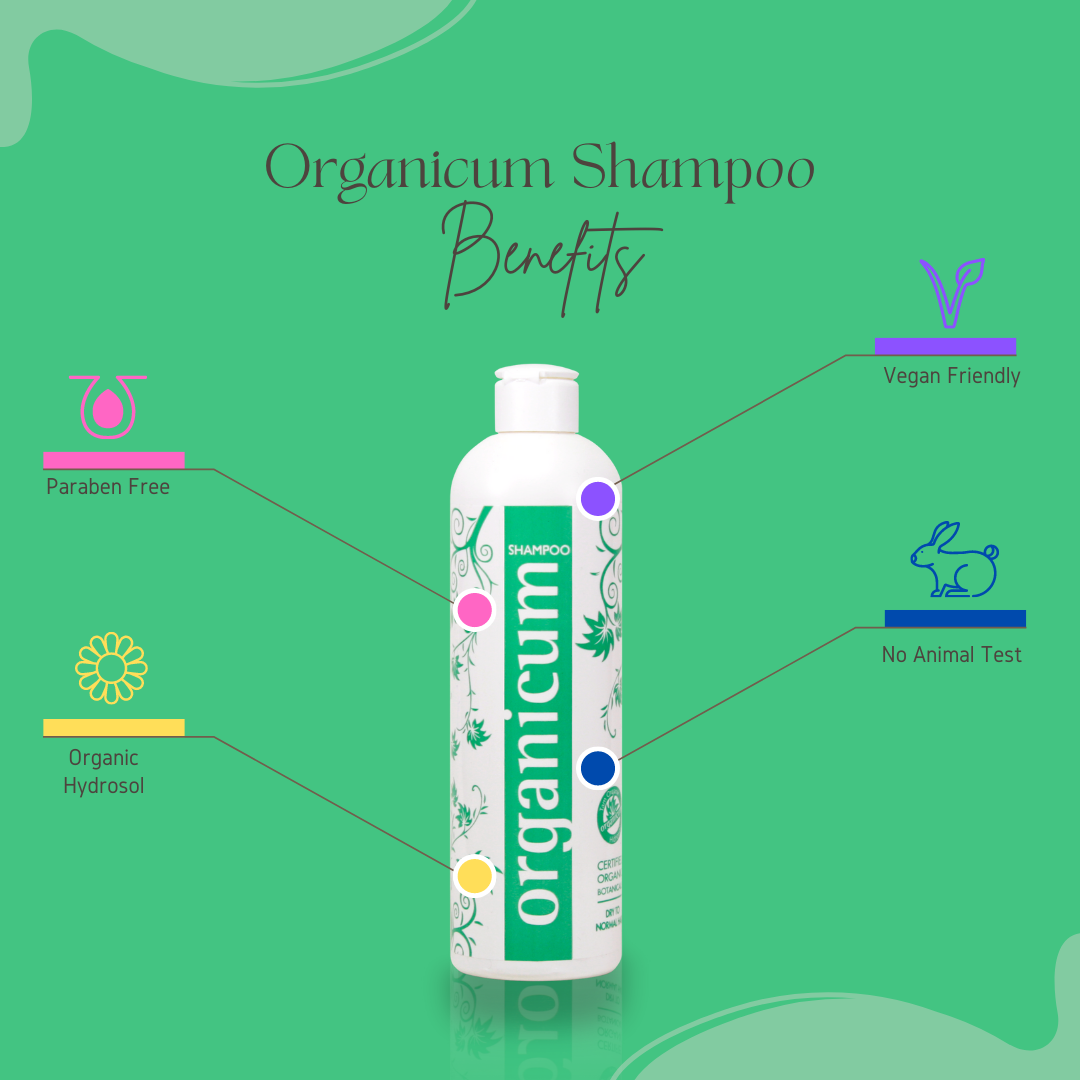 organicum Shampoo normales bis trockenes Haar Brennnessel Echter-Salbei Lorbeer 350ml